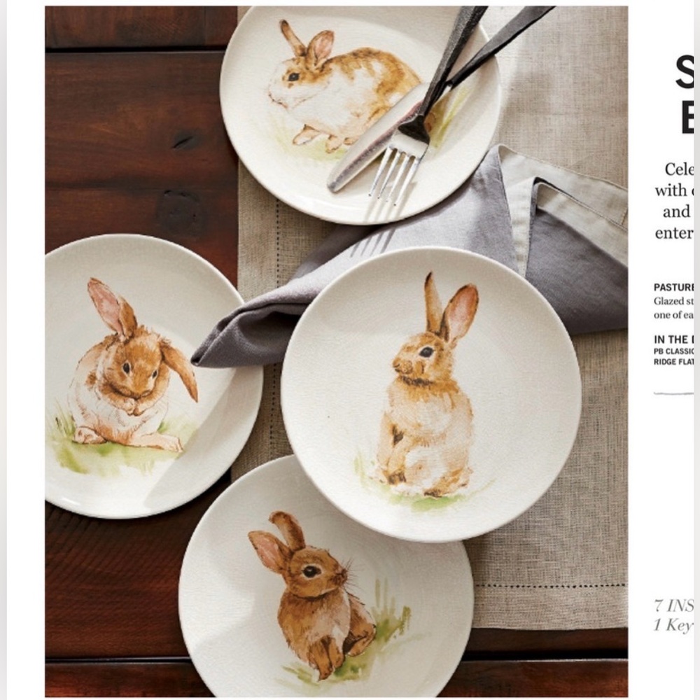 New Pottery Barn Pasture Bunny Easter Salad Plates, S/4 BNIB, 8”D #2